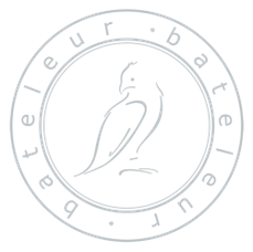 Bateleur logo